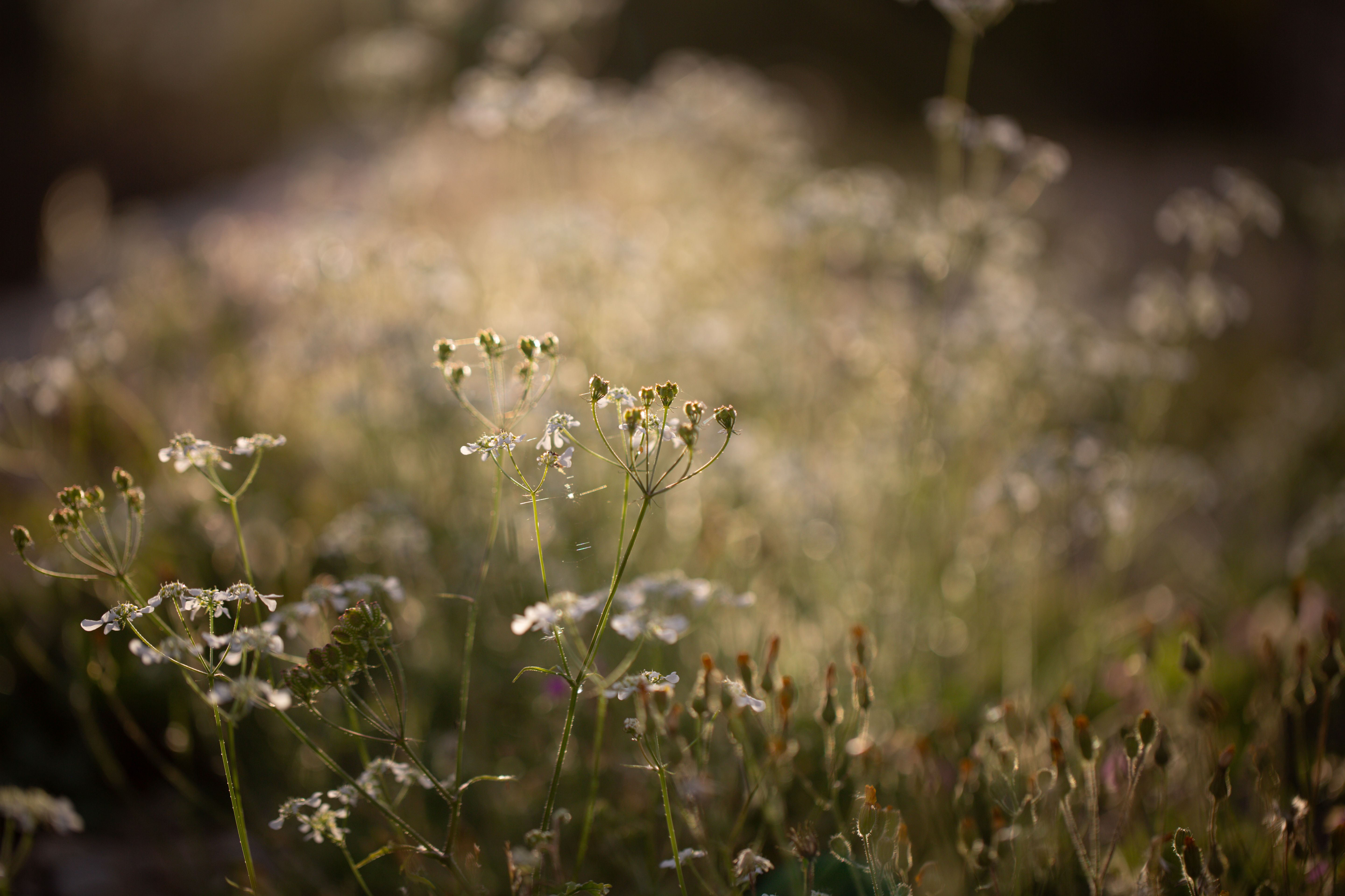 Why Summer Still Sends: Seasonal Messaging Without the Hallmark Calendar