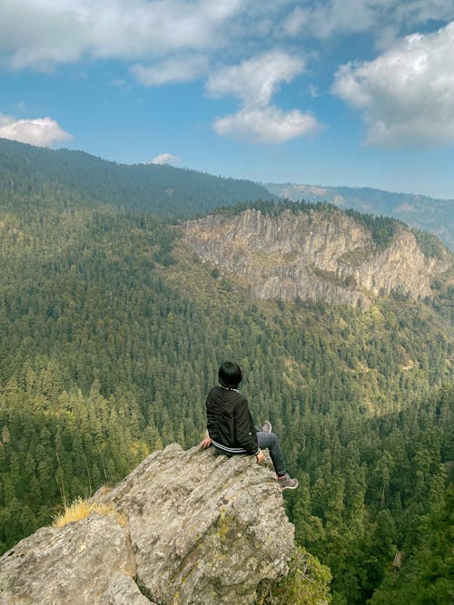 A person sitting on a rock looking out over a forest