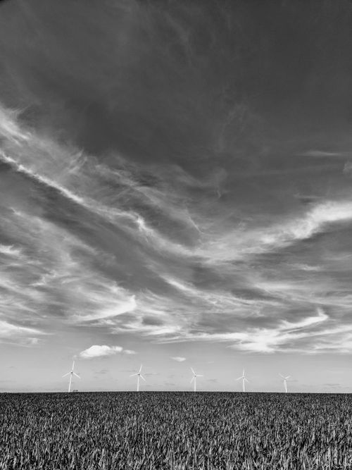 Free Monochrome view of wind turbines in a rural field against a cloudy sky. Stock Photo