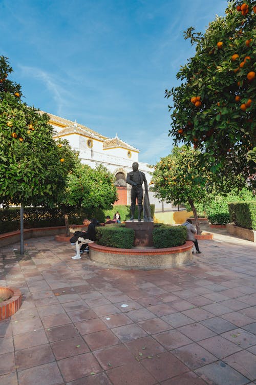 オレンジの木, スペイン, セビリアの無料の写真素材