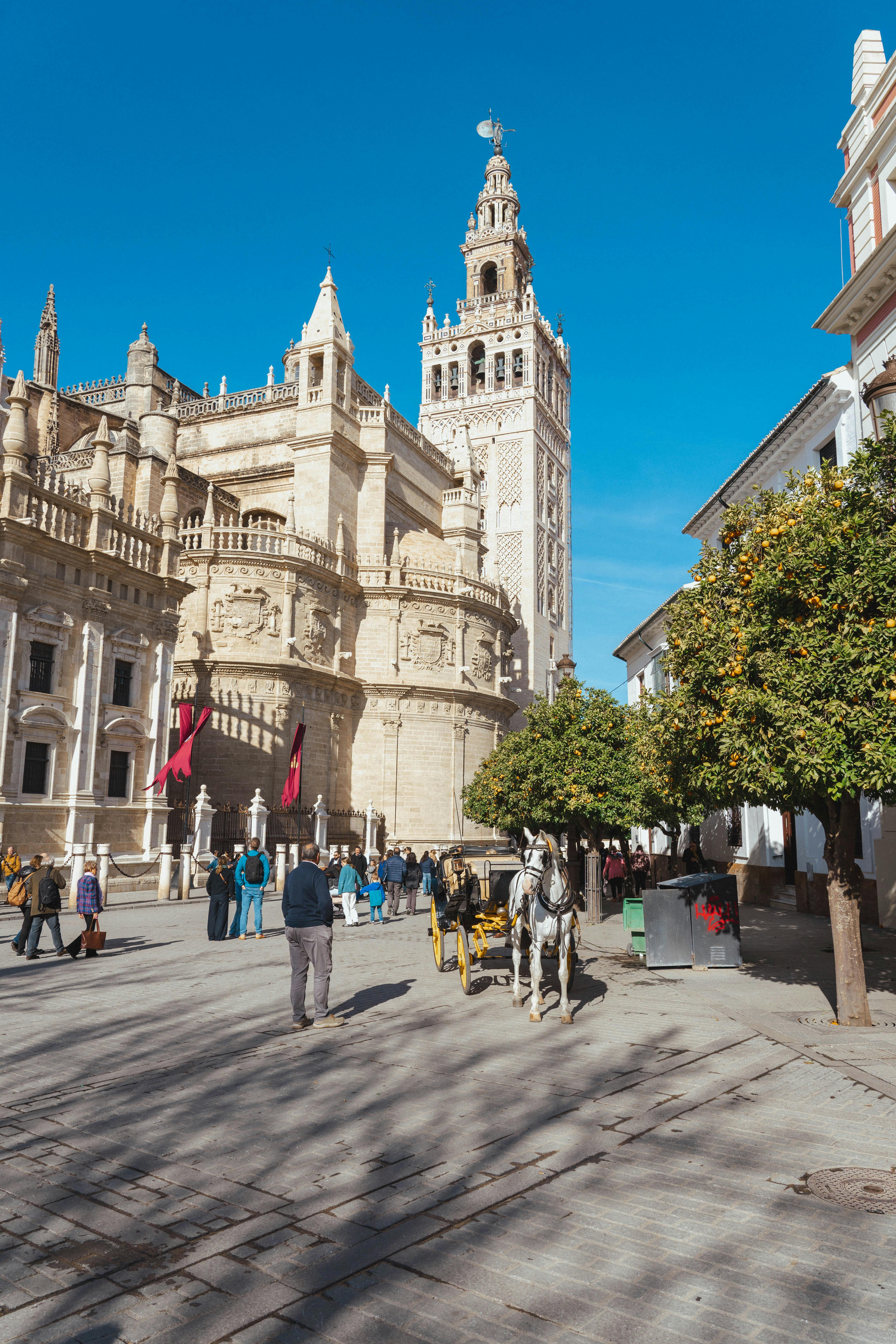 cathedral in seville in sunlight