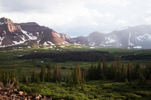 uinta山, 不平, 前景 的 免费素材图片