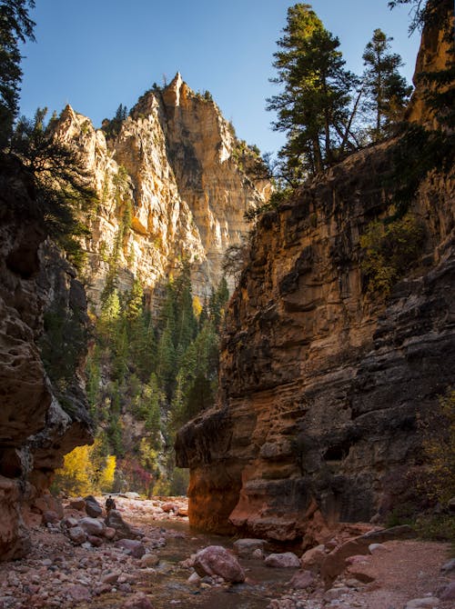 A river runs through a canyon with rocks and trees