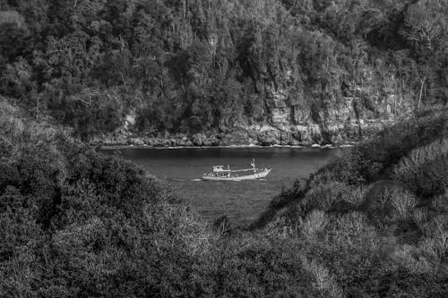 çalılar, deniz aracı, gri tonlama içeren Ücretsiz stok fotoğraf