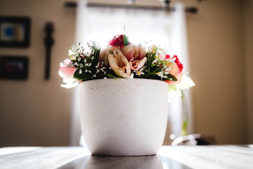 gratis Diverse Bloemen In Witte Keramische Vaas Stockfoto