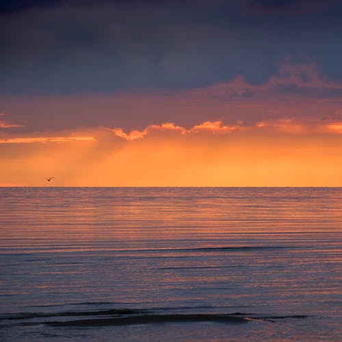 Fotos de stock gratuitas de agua, amanecer, anochecer