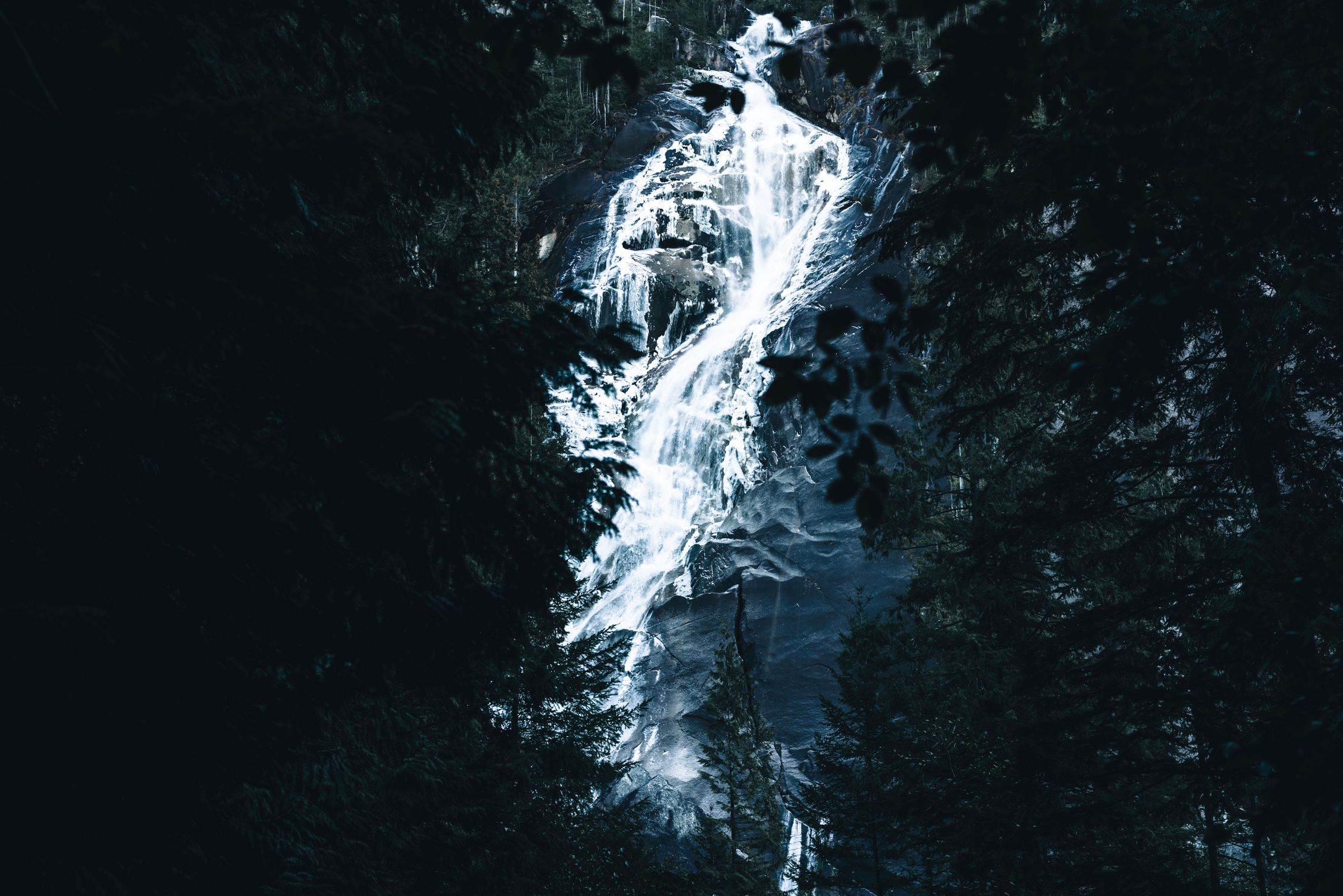 A dramatic view of Shannon Falls cascading through the lush Squamish forest in BC, Canada.