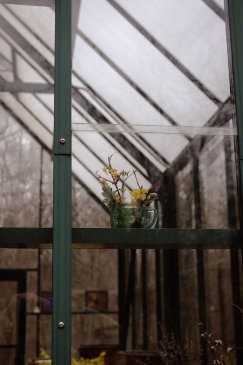 A greenhouse with a window and flowers in it