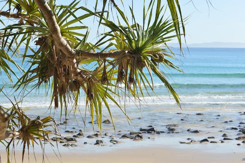 Foto stok gratis laut, lautan, pantai