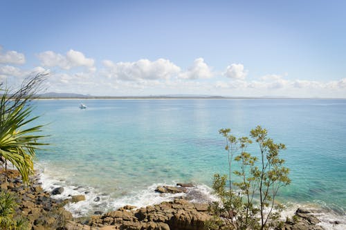 Foto profissional grátis de árvore, beira-mar, mar