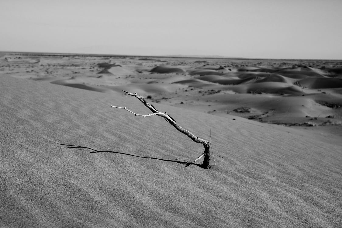 Ilmainen kuvapankkikuva tunnisteilla aavikko, hiekka, karu