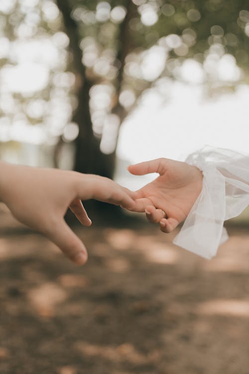 Free Two hands reaching out to each other in the woods Stock Photo