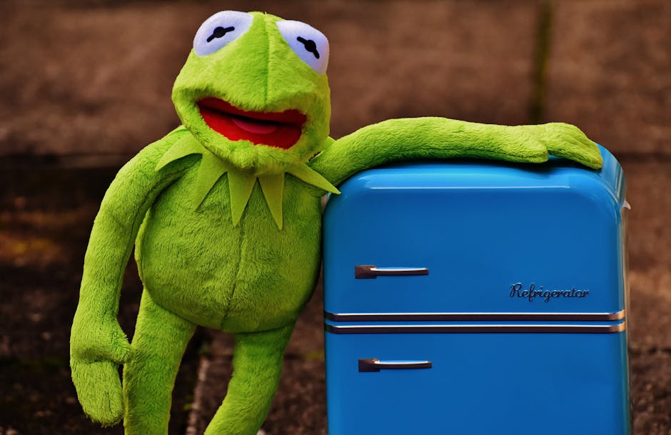 Kermit the Frog Plush Toy