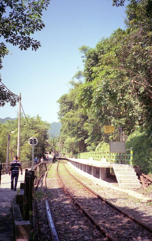 Foto profissional grátis de árvores, estrada de ferro, ferrovias