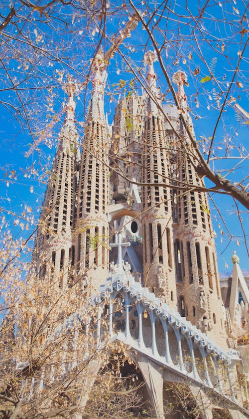 Ingyenes stockfotó barcelona, épület, fák témában