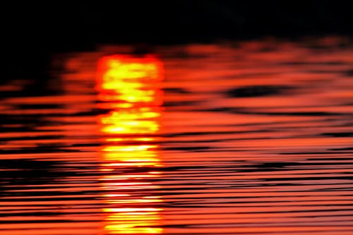 セレクティブフォーカス, 反射, 夕焼けの無料の写真素材