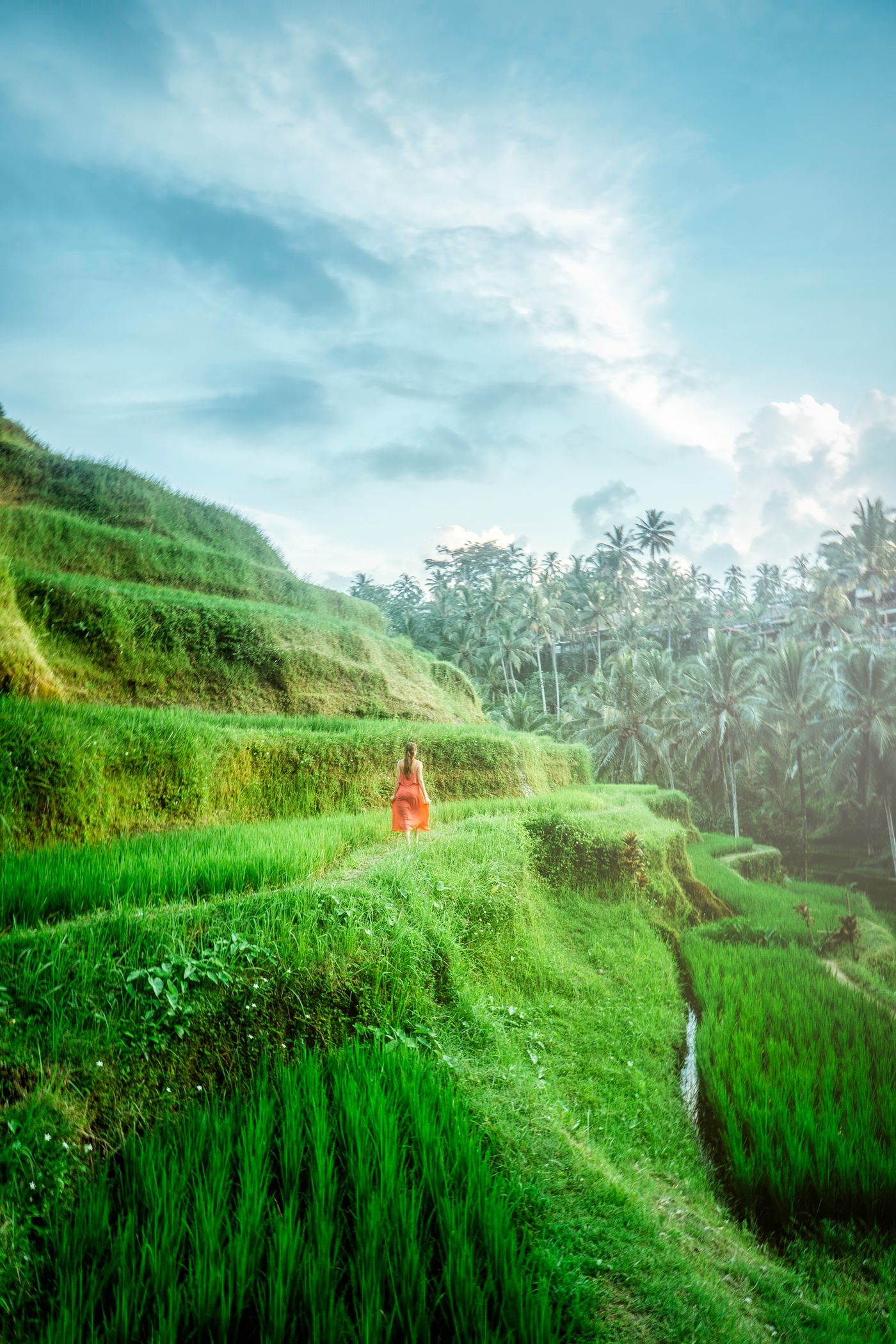Ubud Full Day Tour 4