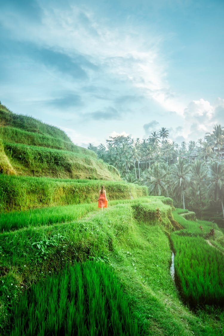 Woman Wearing Red Dress Walking On Green Grassfield