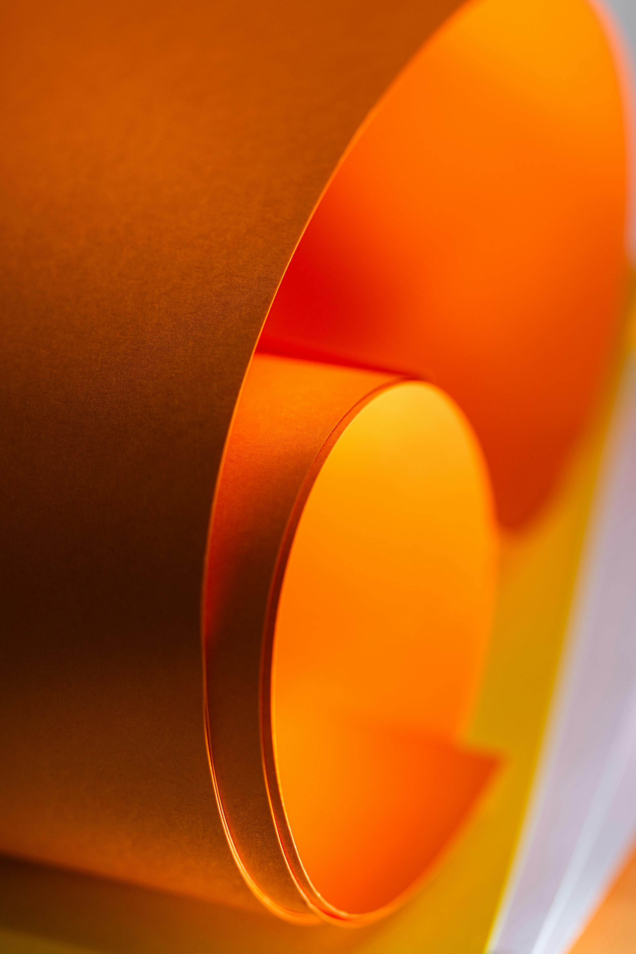Close-up of abstract orange paper curl showing vibrant, artistic design with smooth curves.
