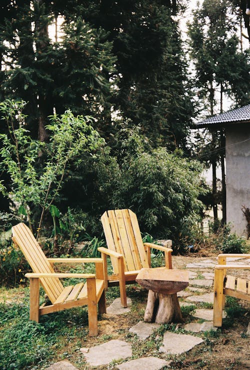 Table and Wooden Armchairs in House Garden in Forest