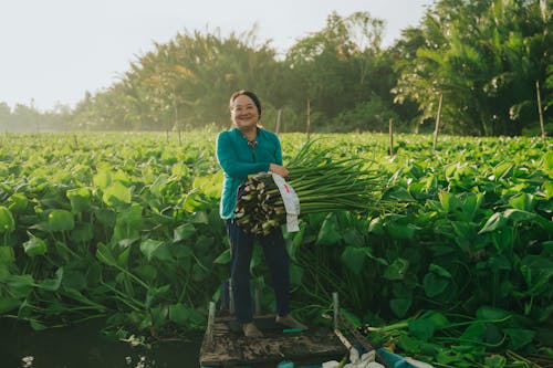 A Smiling Woman Standing among Green Aquatic Plants and Holding a Bundle of Stems