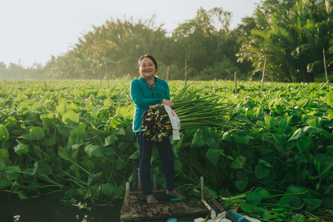 Gratis lagerfoto af asiatisk kvinde, bundter, flora