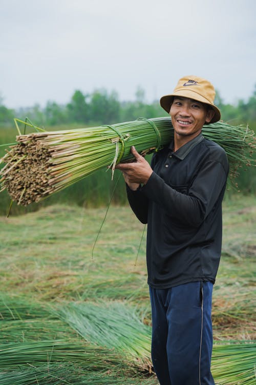 Immagine gratuita di agricoltura, azienda agricola, campagna