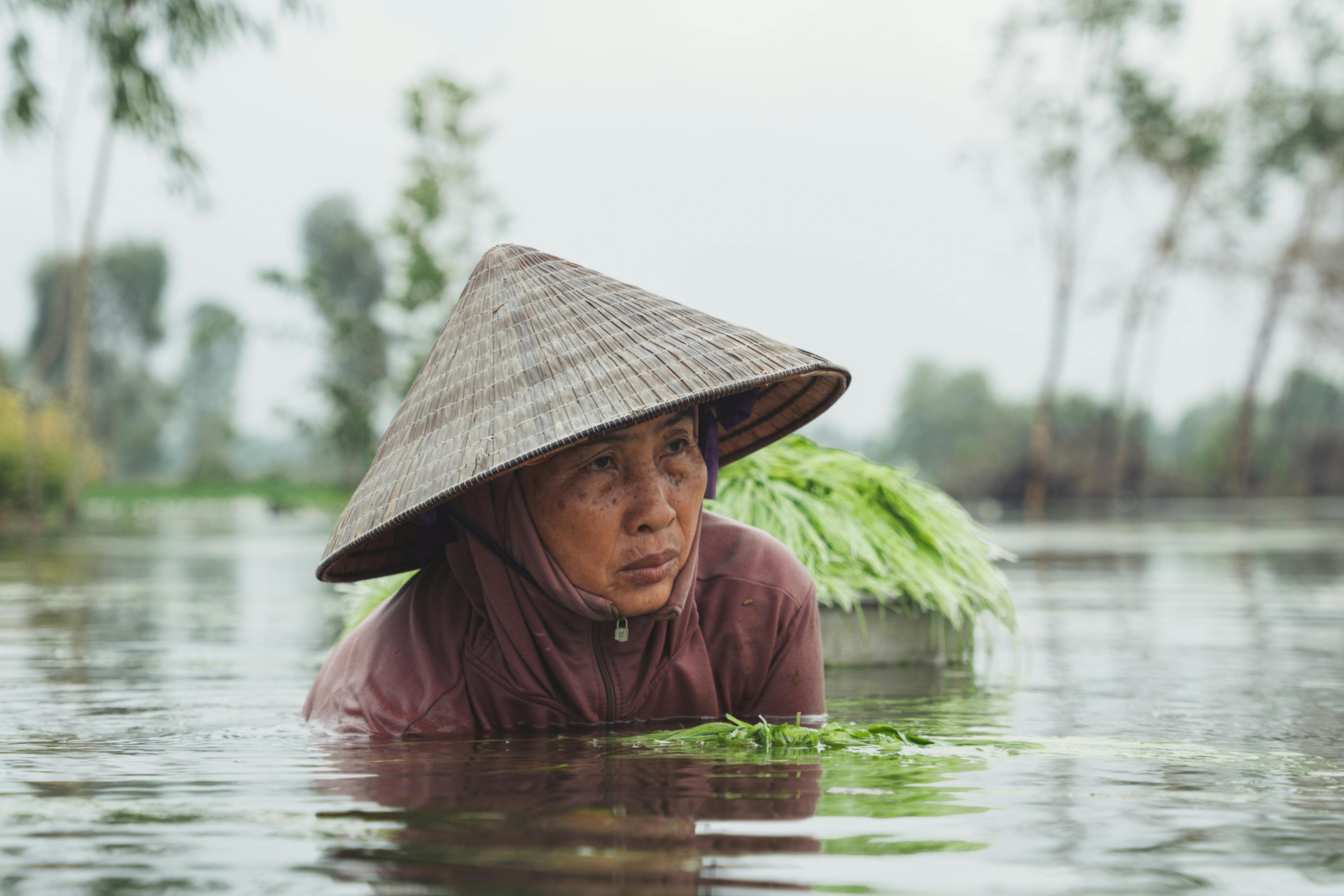 Elderly Asian woman wearing a traditional hat, working in a rural lake setting, water plants visible.