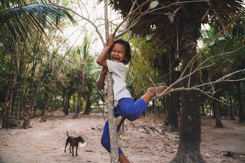 Бесплатное стоковое фото с азиатский мальчик, активный отдых, ветвь