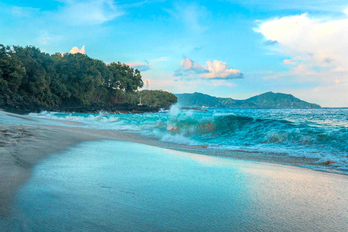 Ocean Waves Near Trees