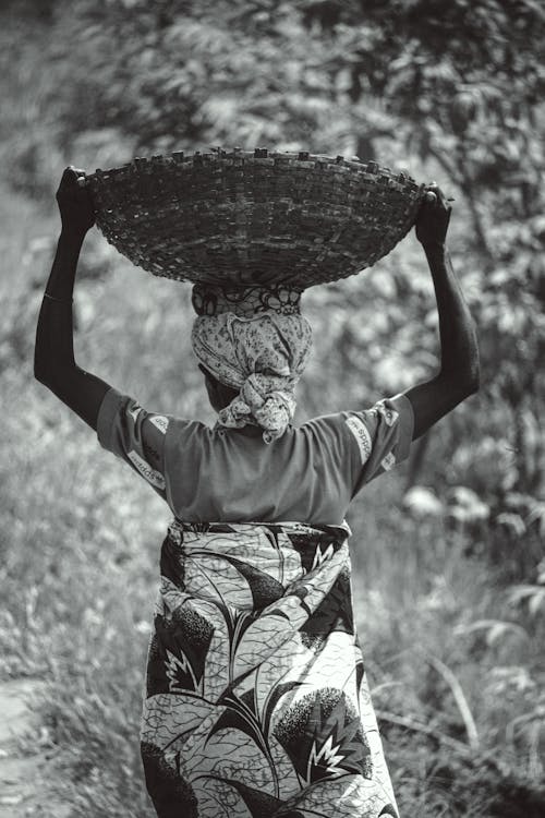 Afrikalı kadın, ağaçlar, aşındırmak içeren Ücretsiz stok fotoğraf