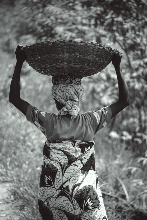 African Woman Carrying A Basket On Her Head In Black And White Free african-woman-carrying-a-basket-on-her-head-in-black-and-white-free