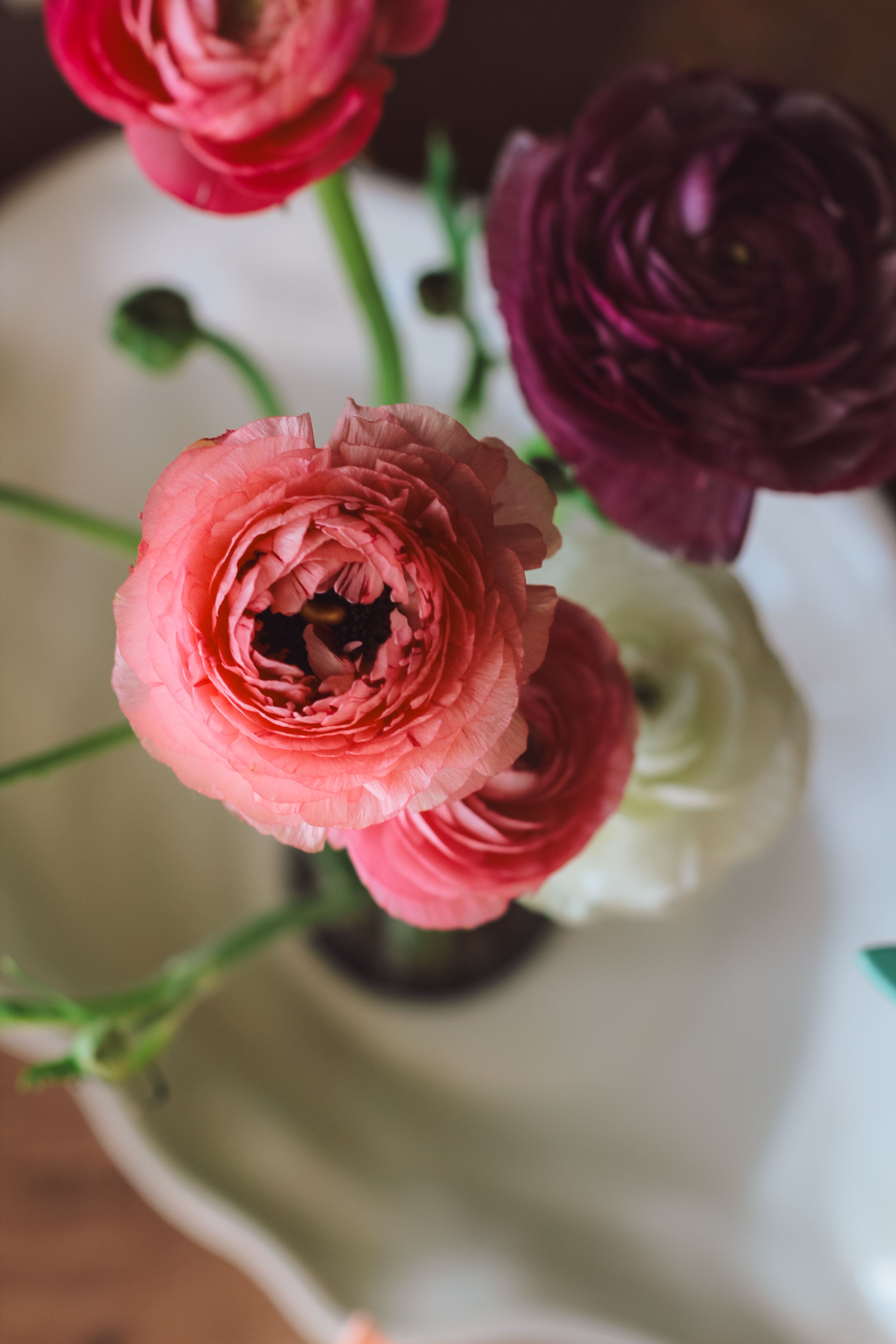 Photo of Flowers In Can · Free Stock Photo
