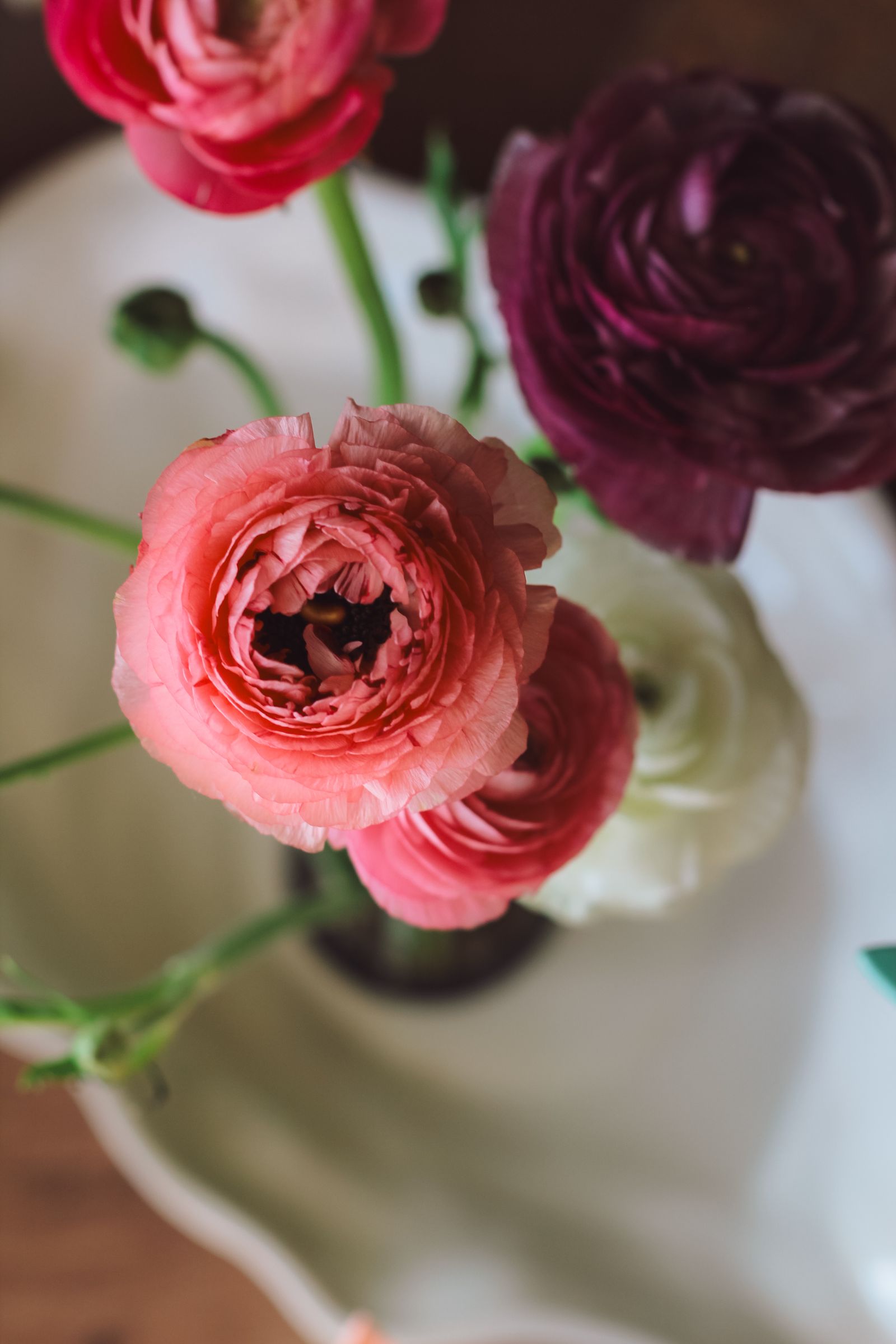 Photo of Flowers In Can · Free Stock Photo