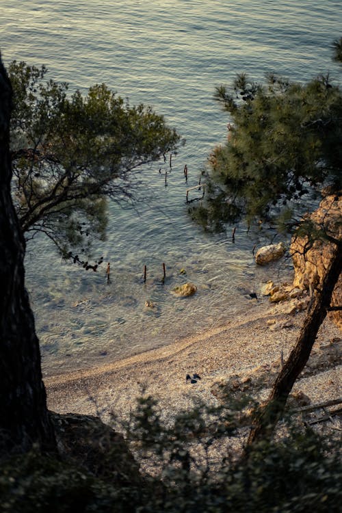 Бесплатное стоковое фото с берег, вертикальный выстрел, высокий угол обзора