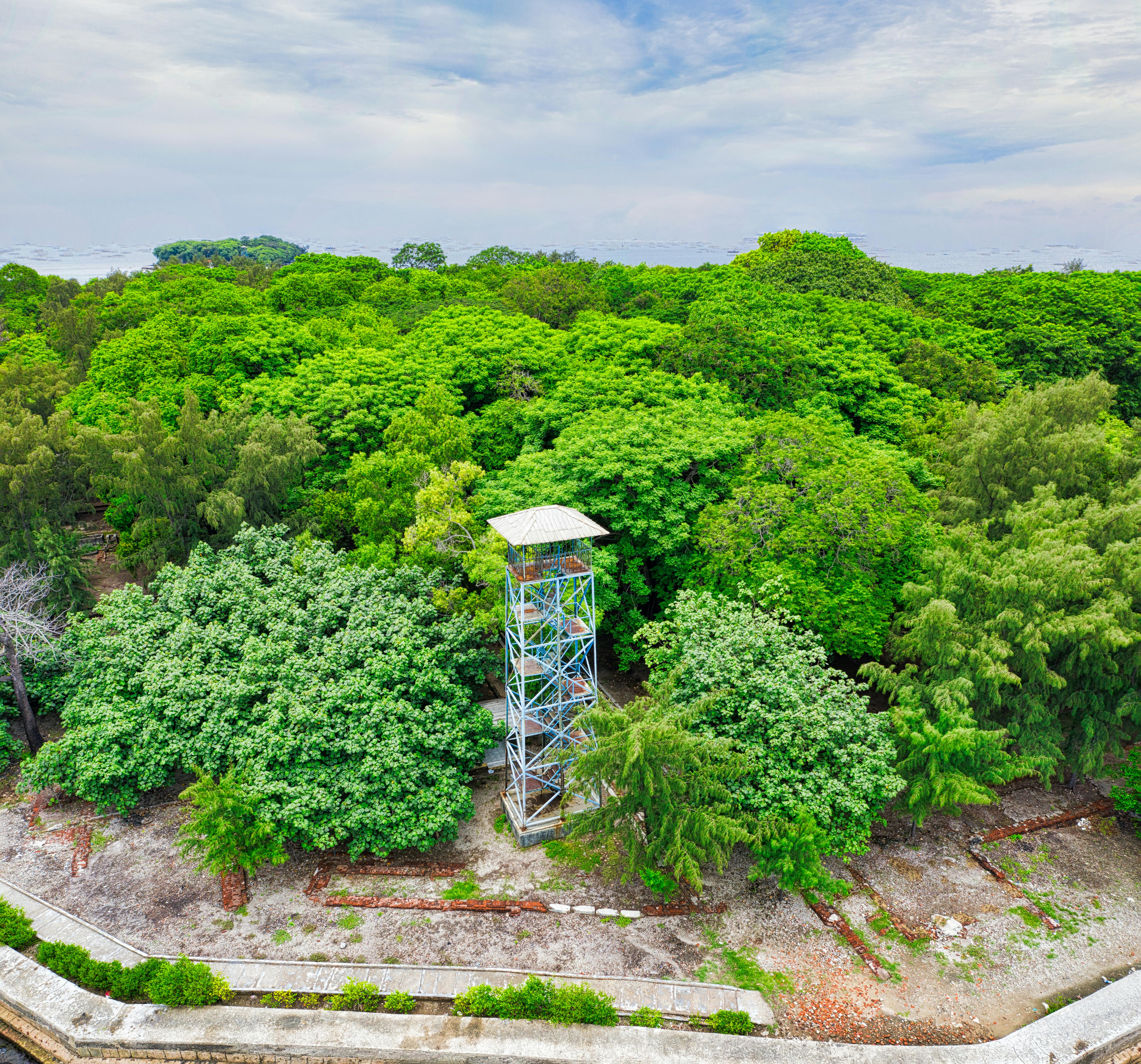 Aerial view of green forest and watchtower in Jakarta, showcasing lush tropical scenery.