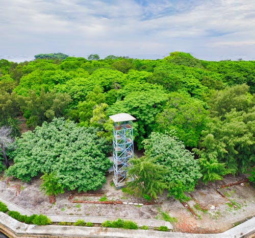 Luchtfotografie Van Uitkijktoren Bij Bomen