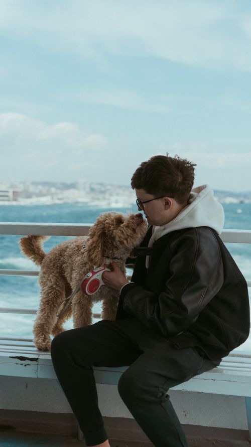Free A man with his dog enjoying a peaceful moment by the ocean, embracing nature and friendship. Stock Photo
