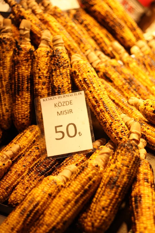A display of corn on the cob with price tags
