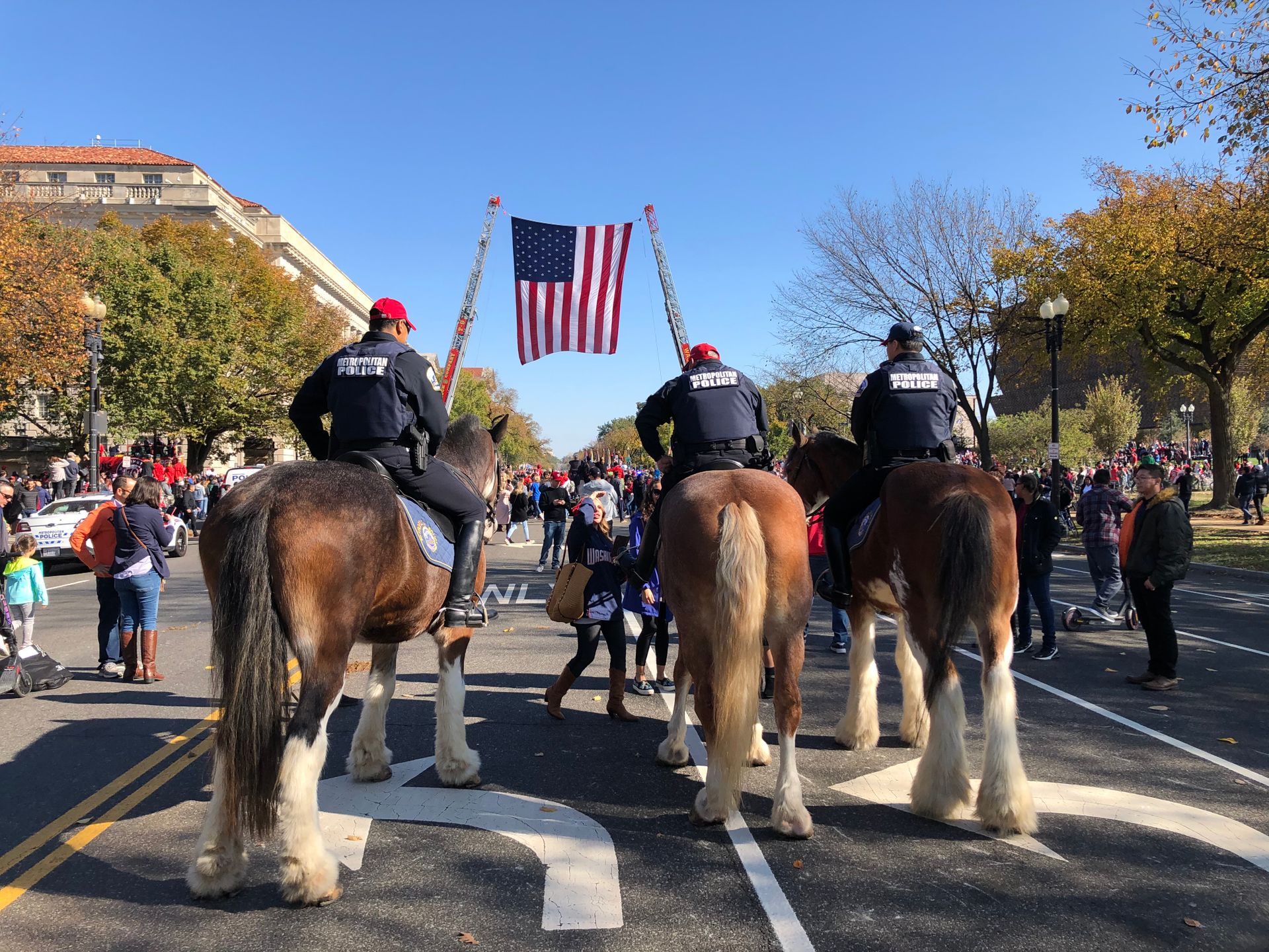 Police Officers Riding Horses in an American City Street