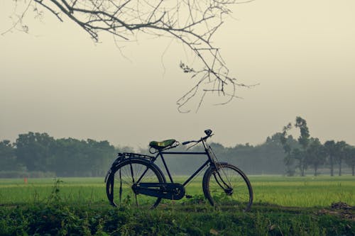 Бесплатное стоковое фото с велосипед, велосипедист, за городом