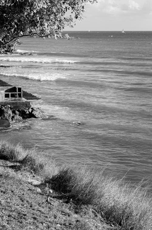 Безкоштовне стокове фото на тему «берег моря, вертикальні постріл, махати»
