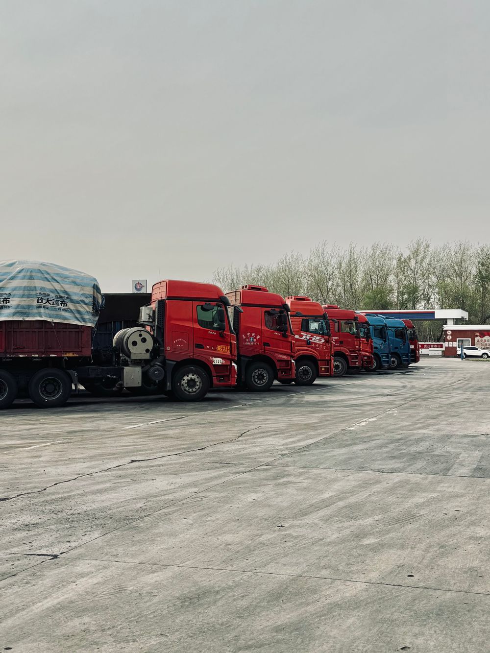 Sofer si camion pe traseu