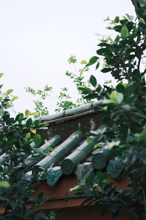 Gratis lagerfoto af arkitektoniske detaljer, bambus, bambus tagsten