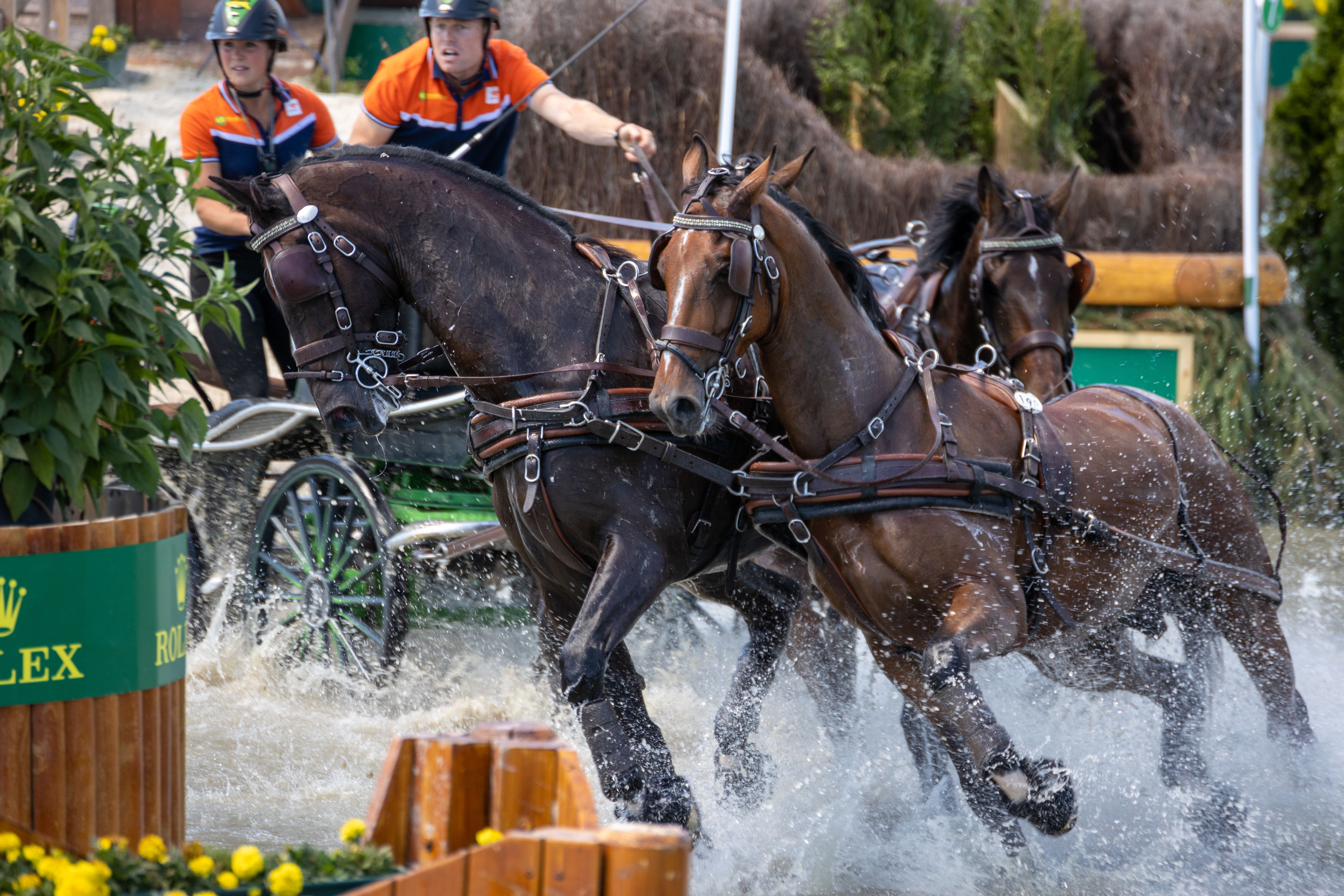 Exciting equestrian competition with horses and riders in action, splashing water as they race.