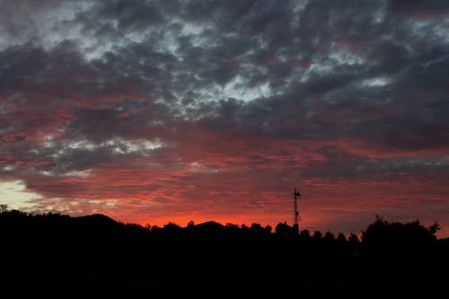 atardecer, calido, 橙子 的 免費圖庫相片