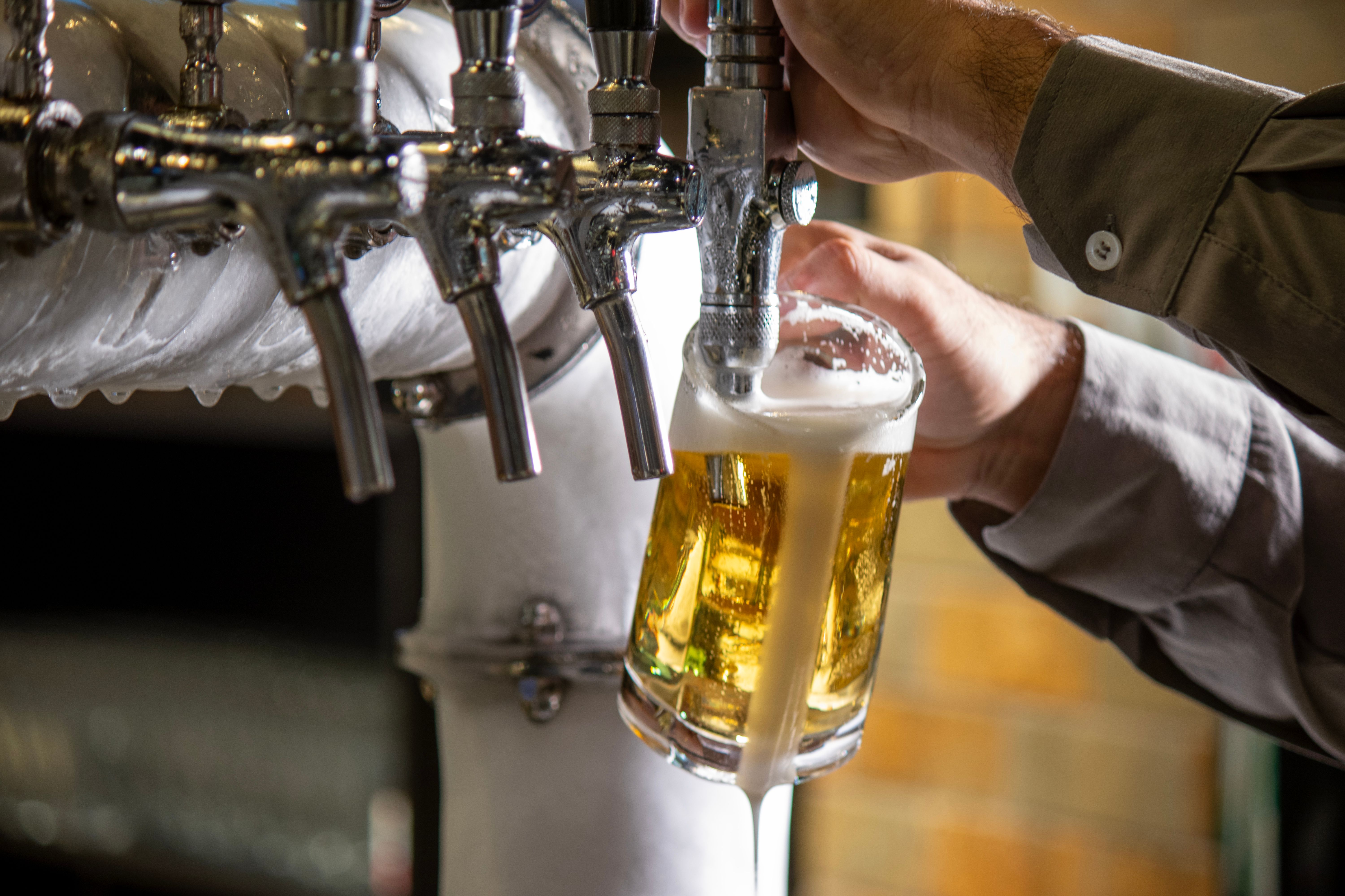 Chopp Artesanal · Foto de stock gratuita