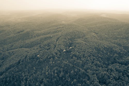 丘陵, 地平線, 山 的 免费素材图片