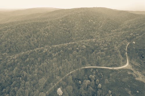 Foto profissional grátis de aerofotografia, árvores, colinas