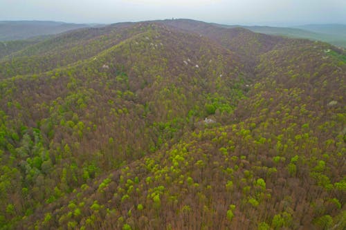 Aerial view of the forested mountains in the middle of the valley